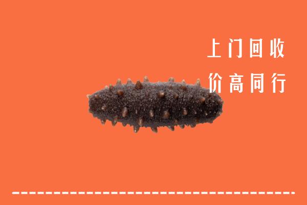 收购行情：麟游县回收海参
